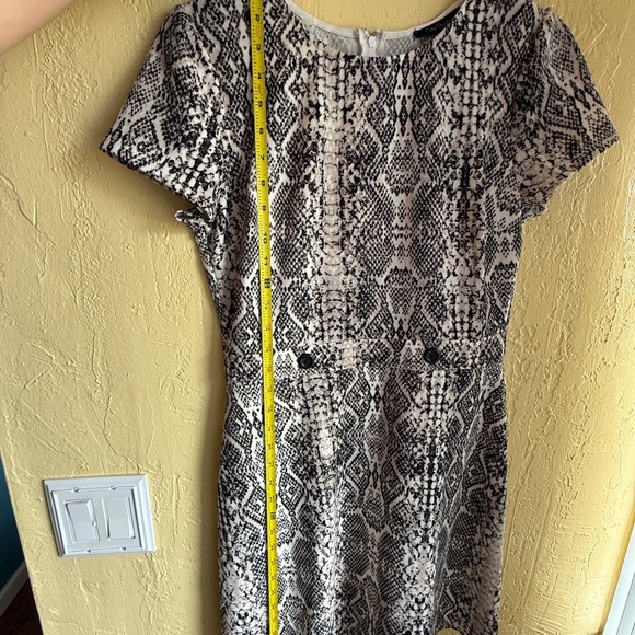 City Studio Black and Cream Snake Print Mini Dress - Picture 7 of 8